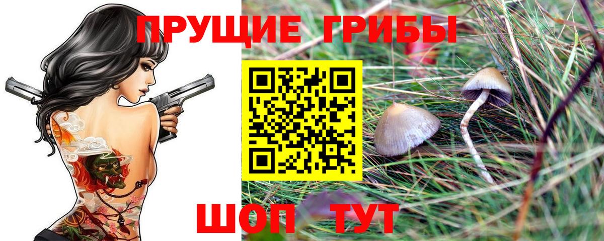 Псилоцибиновые грибы ЛСД  Вход с VPN  Галлюциногенные грибы ЛСД  Горно-Алтайск 